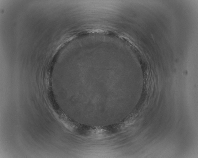 X0000063440695200601201155