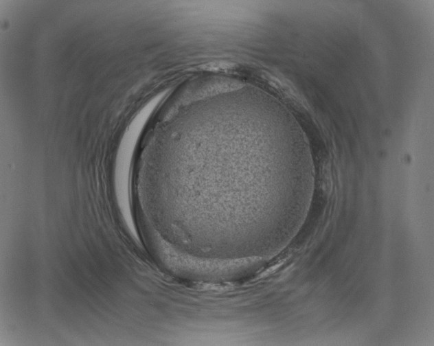 X0000063440697200601201155