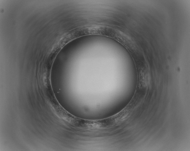 X0000063440698200601201155