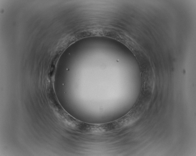 X0000063440702200601201155