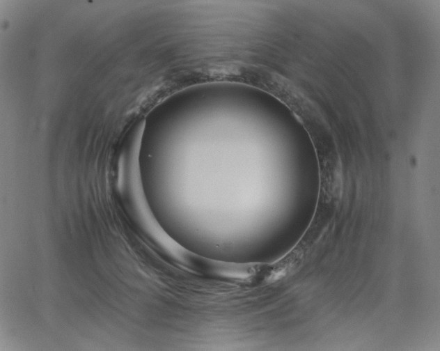 X0000063440704200601201155