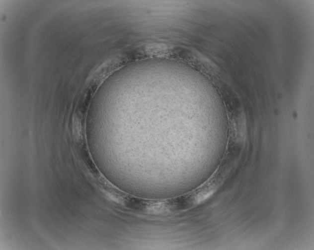 X0000063440705200601201155