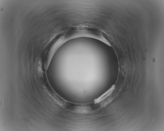 X0000063440708200601201155