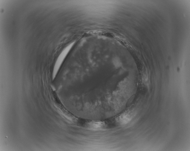 X0000063440711200601201155