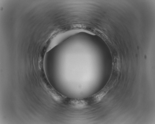 X0000063440712200601201155
