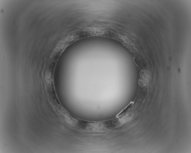 X0000063440713200601201155