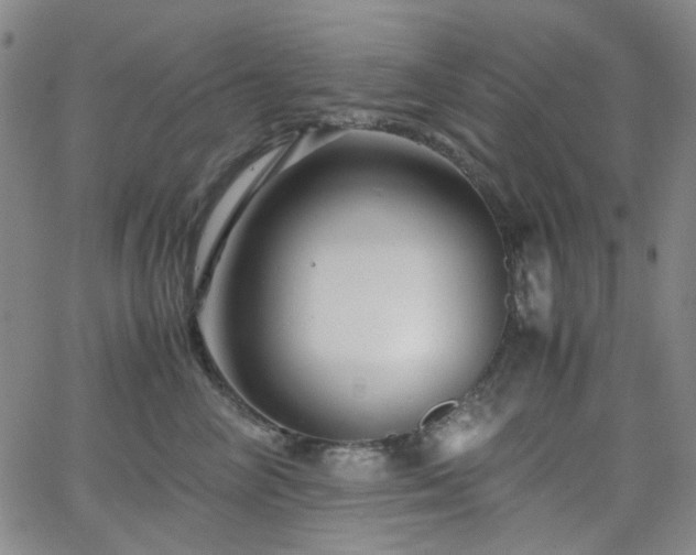 X0000063440714200601201155