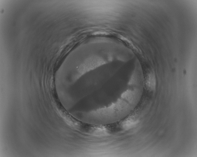 X0000063440715200601201155