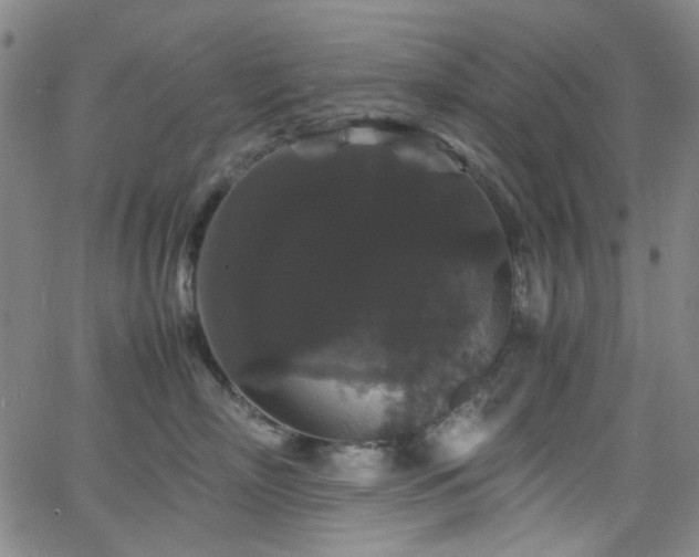 X0000063440718200601201155