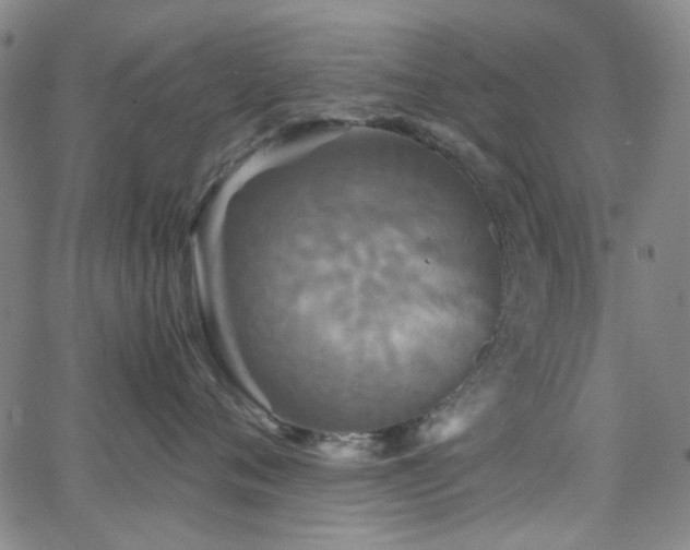 X0000063440720200601201155