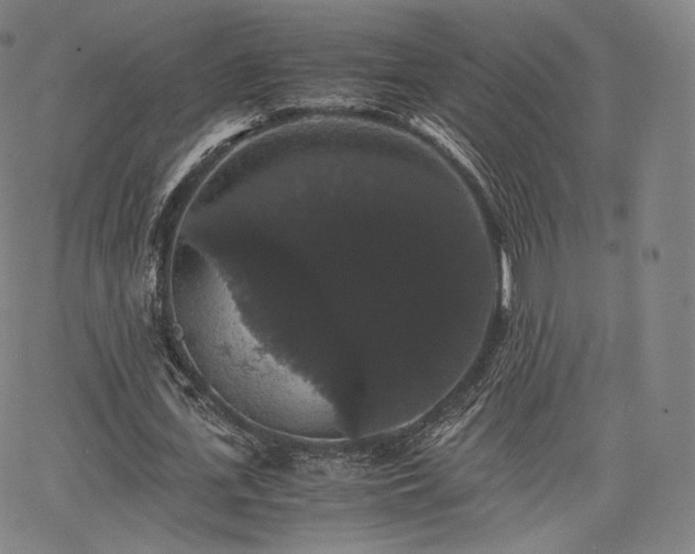 X0000063440723200601201154