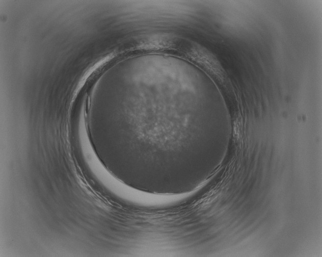 X0000063440724200601201154