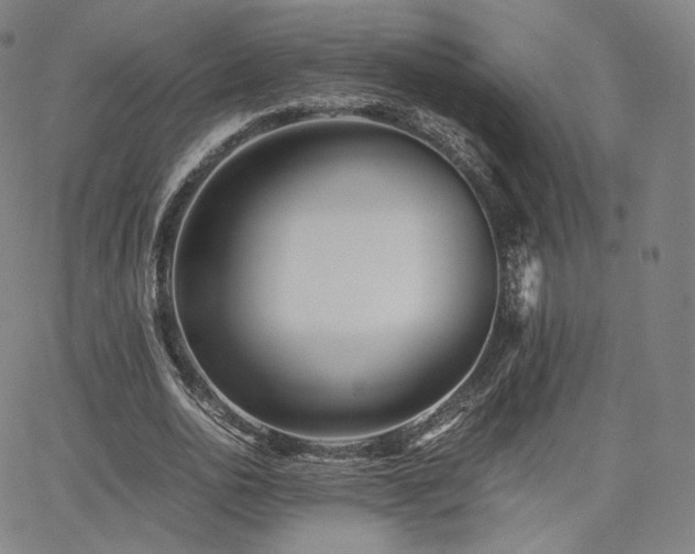 X0000063440726200601201154