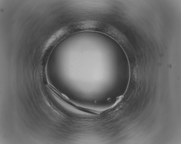 X0000063440732200601201154
