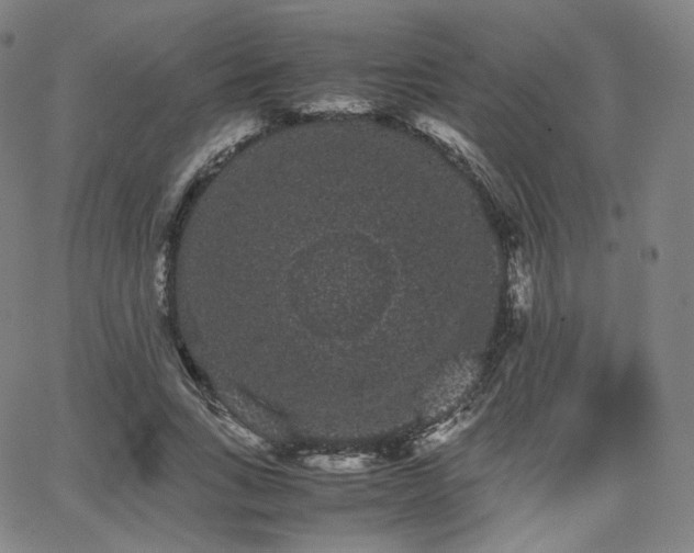 X0000063440735200601201154