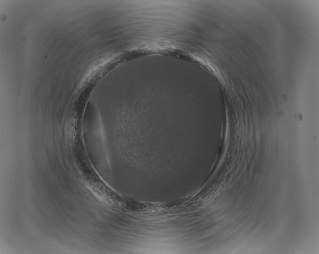 X0000063440736200601201154