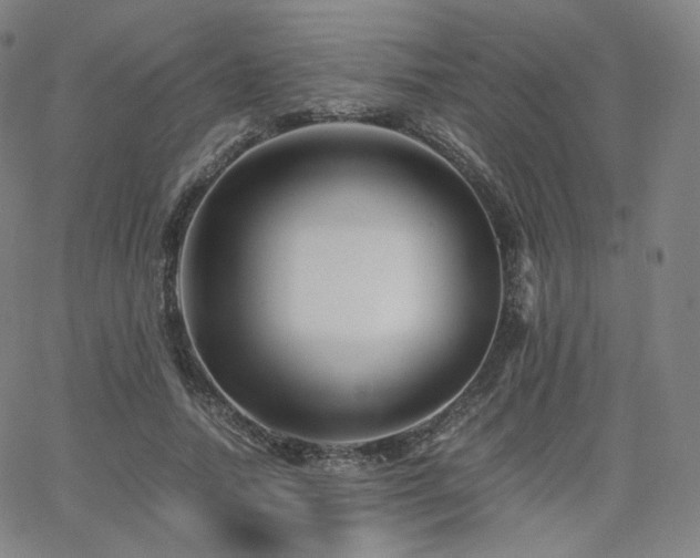 X0000063440738200601201154