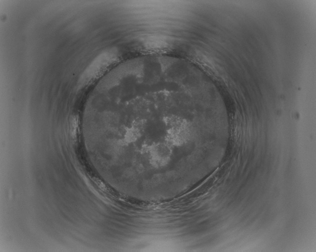 X0000063440742200601201154