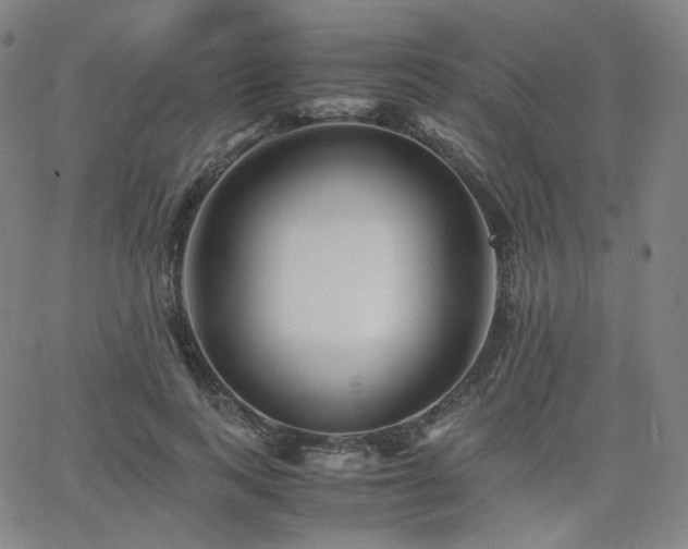 X0000063440743200601201154