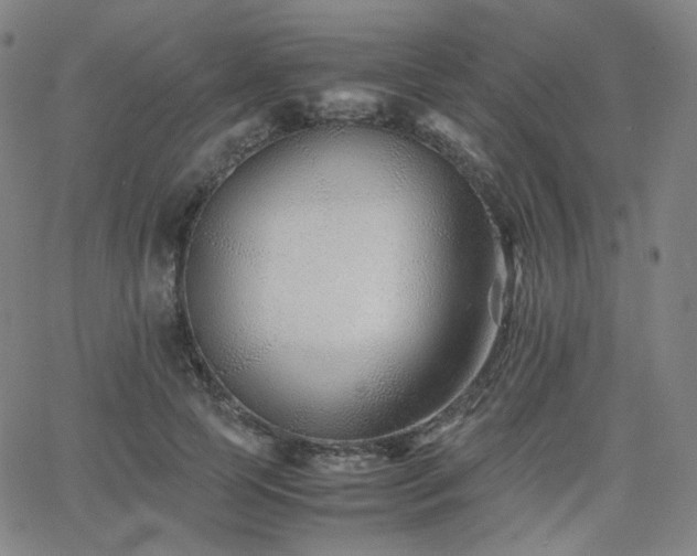 X0000063440745200601201154