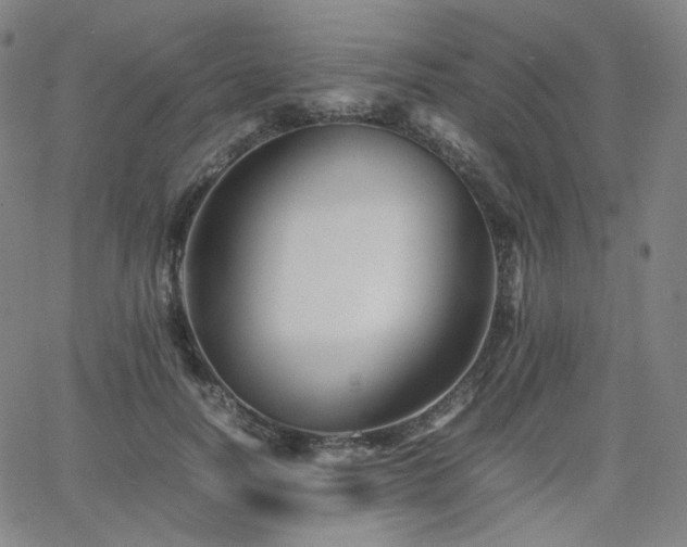 X0000063440746200601201154