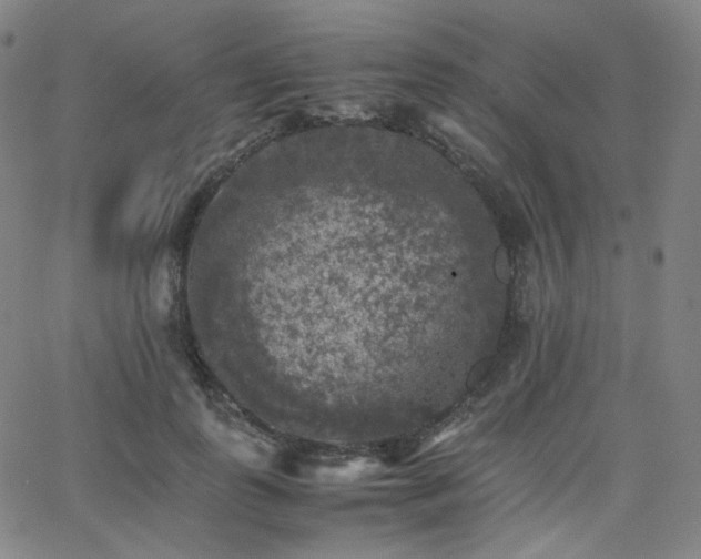 X0000063440747200601201154