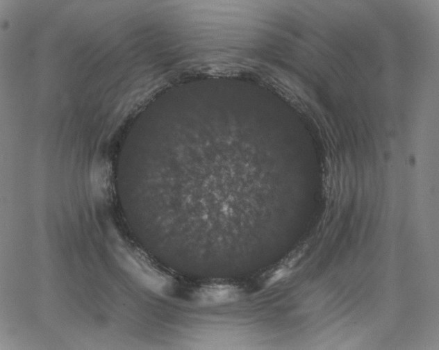 X0000063440748200601201154
