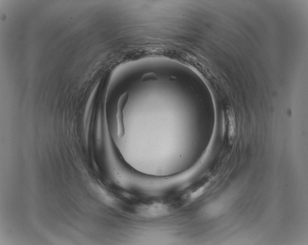 X0000063440750200601201154