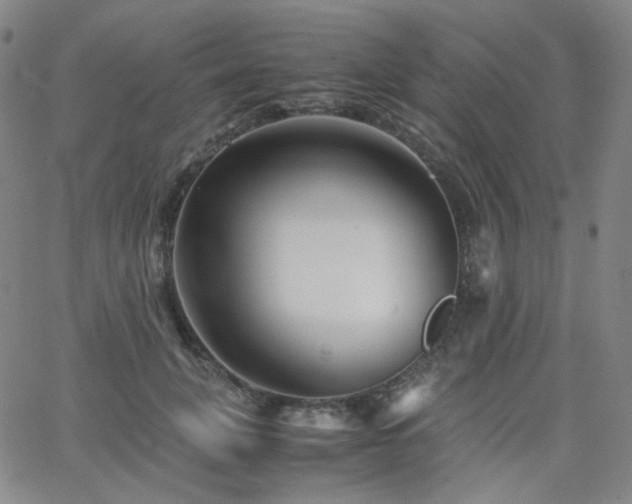 X0000063440751200601201154