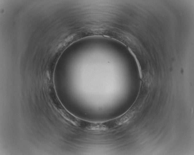 X0000063440752200601201154