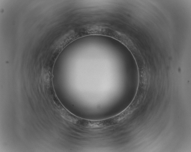 X0000063440753200601201154