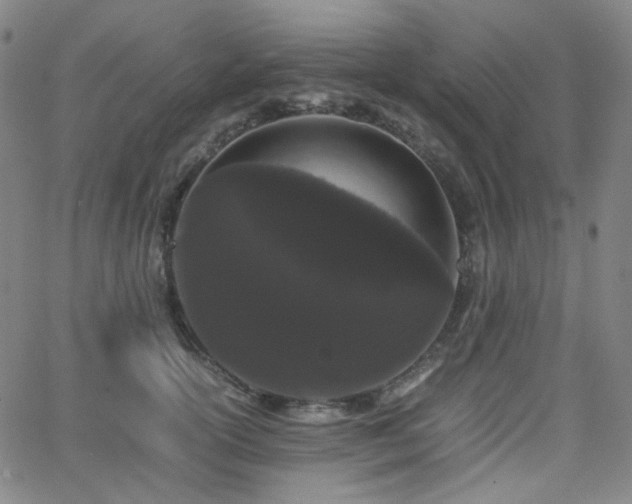 X0000063440754200601201154