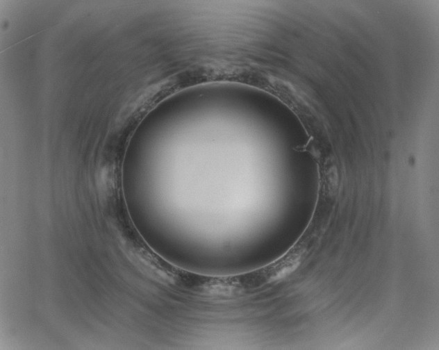 X0000063440756200601201154