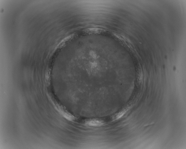 X0000063440759200601201154