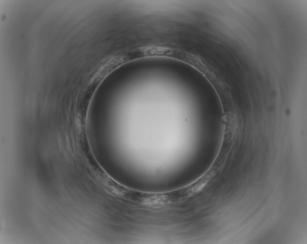 X0000063440761200601201154