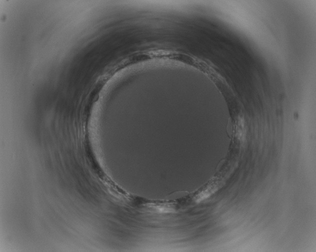 X0000063440763200601201155