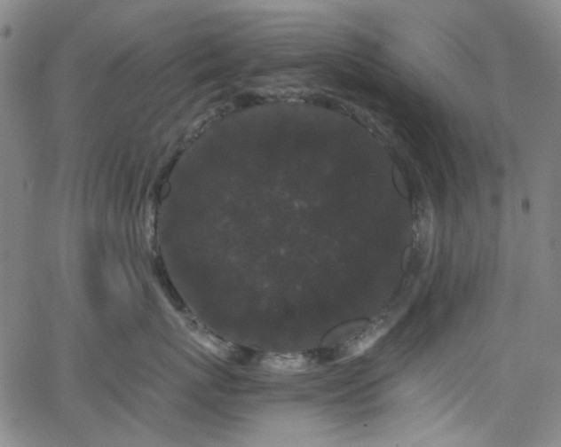 X0000063440767200601201155