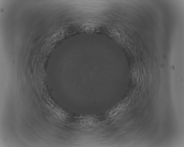 X0000063440769200601201154