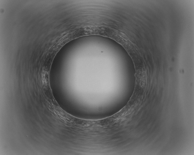 X0000063440770200601201154