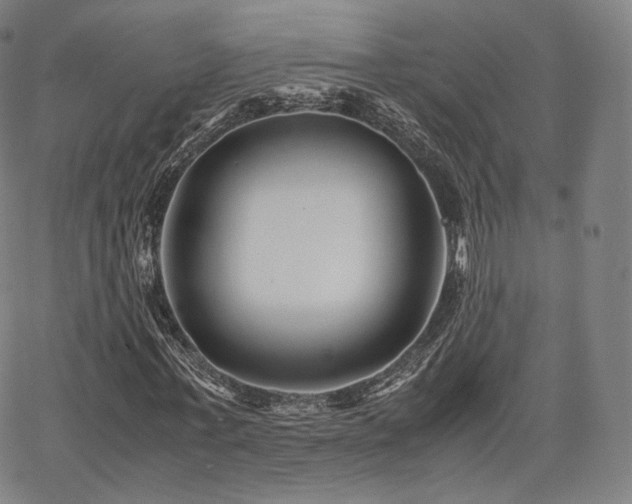 X0000063440771200601201154