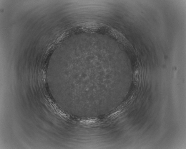 X0000063440772200601201154