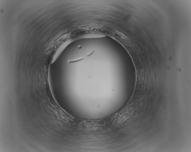 X0000063440774200601201154