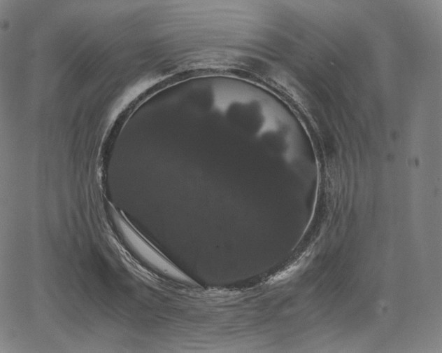 X0000063440779200601201154