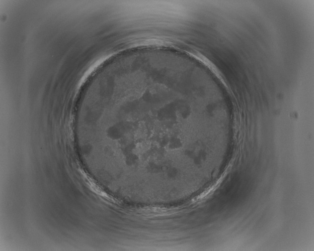 X0000063440783200601201154