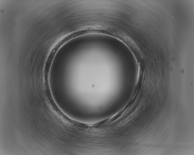 X0000063440784200601201154