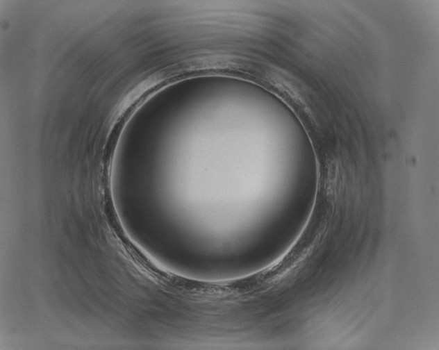 X0000063440786200601201154