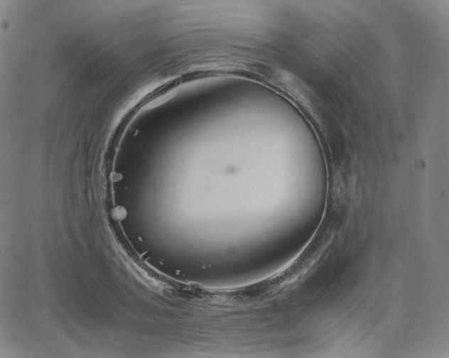 X0000063440787200601201154