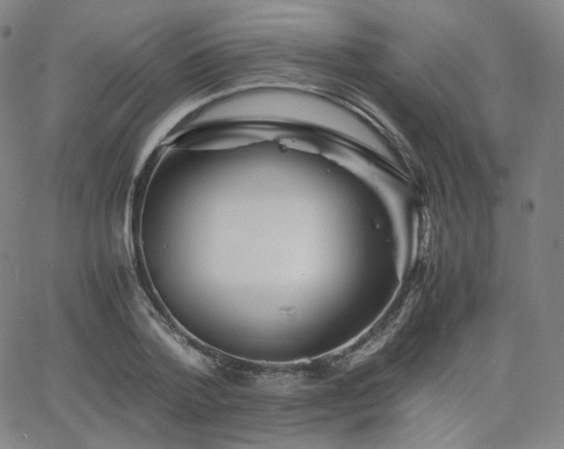 X0000063440788200601201153