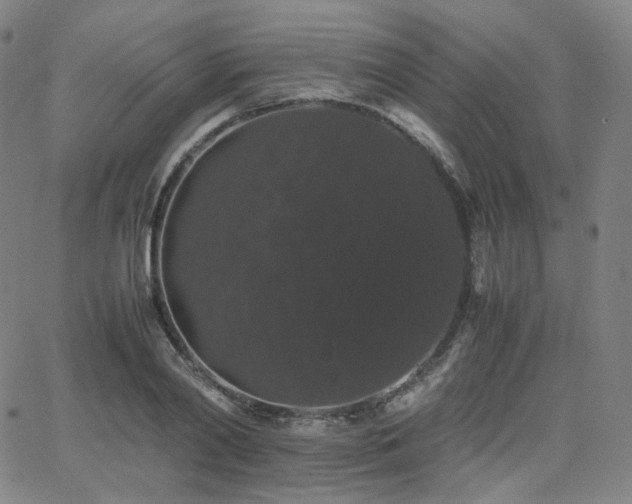 X0000063440790200601201153