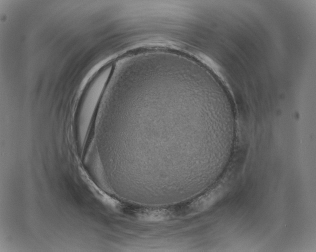 X0000063440791200601201153